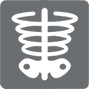 x ray Grey